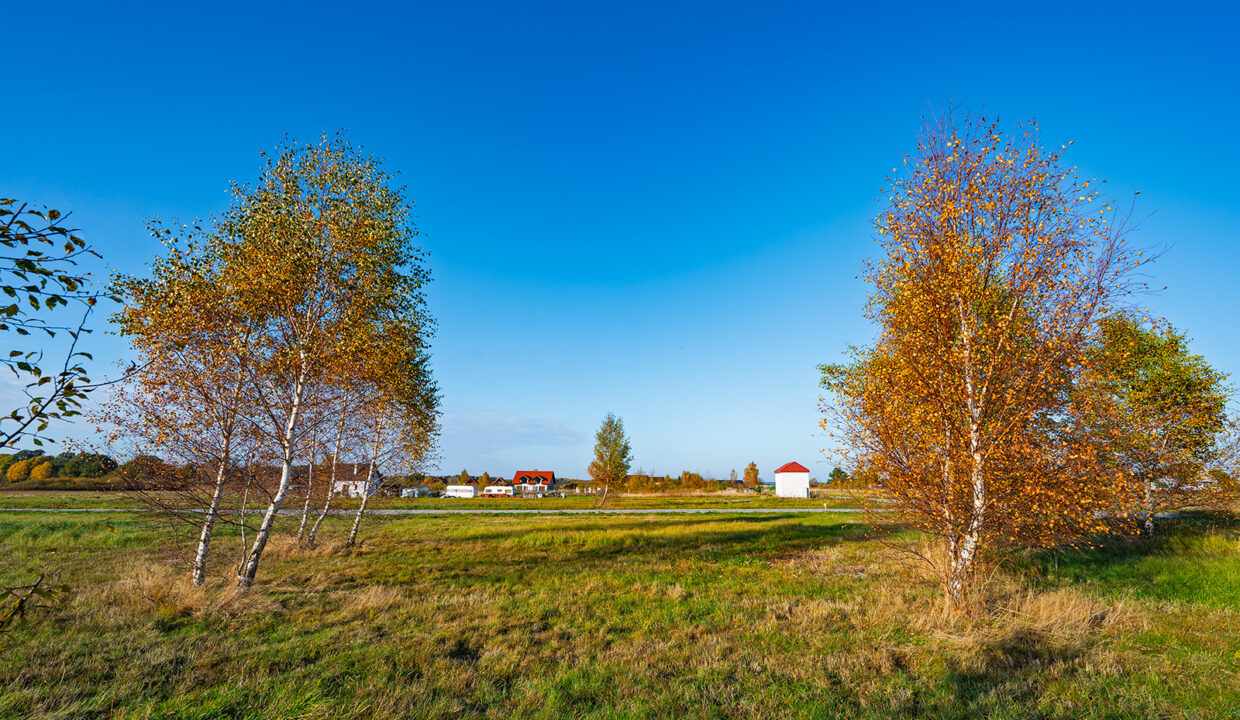 aDSC_7506