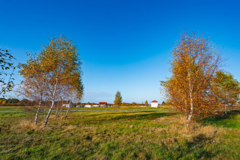 aDSC_7506