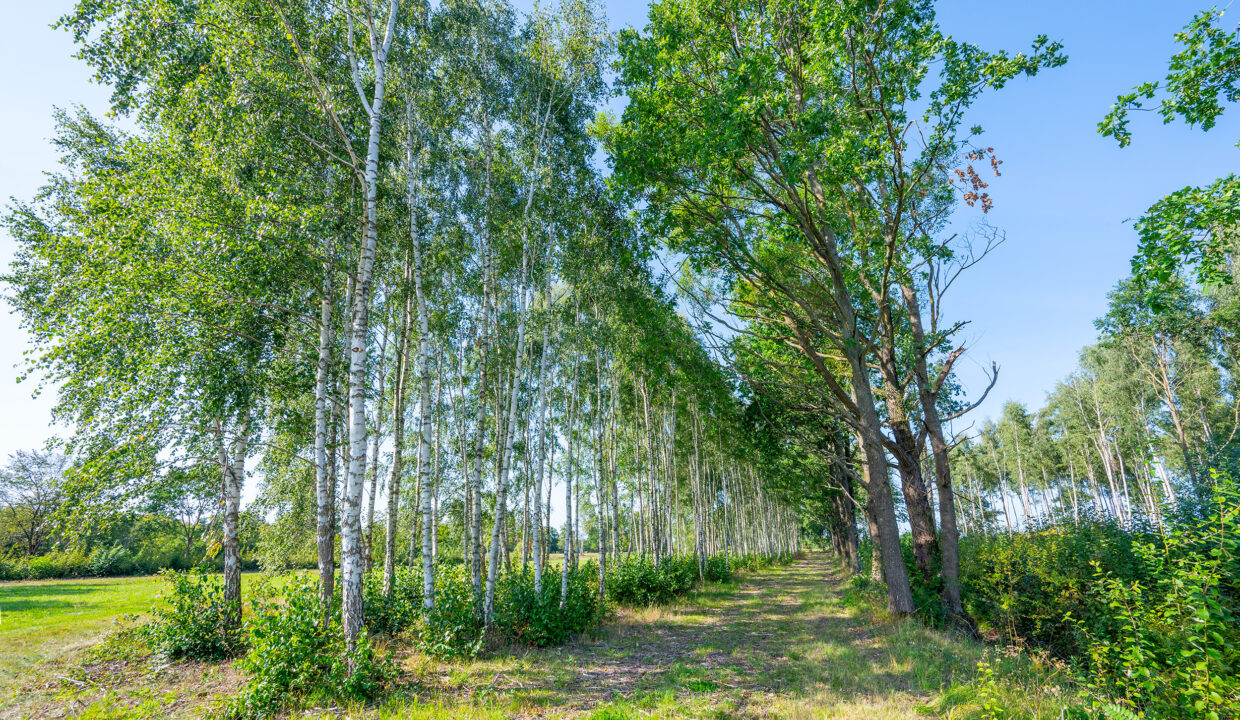 dzialki-nad-morzem-dabki-gleznowko-kompleks-1-11