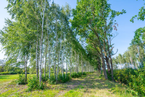 dzialki-nad-morzem-dabki-gleznowko-kompleks-1-11