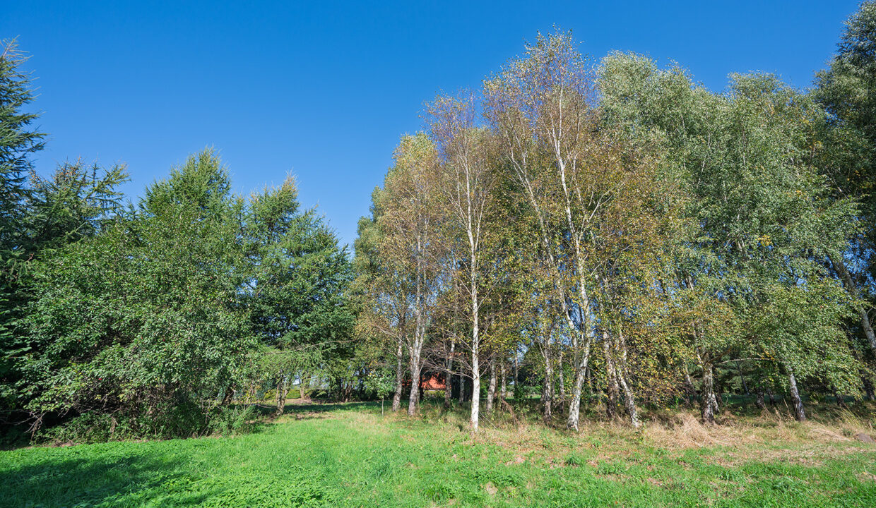 kompleks-nr-1-kowalewice-2