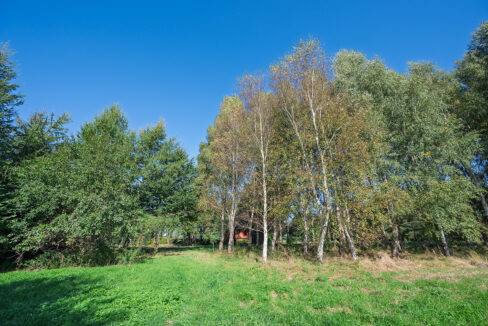 kompleks-nr-1-kowalewice-2